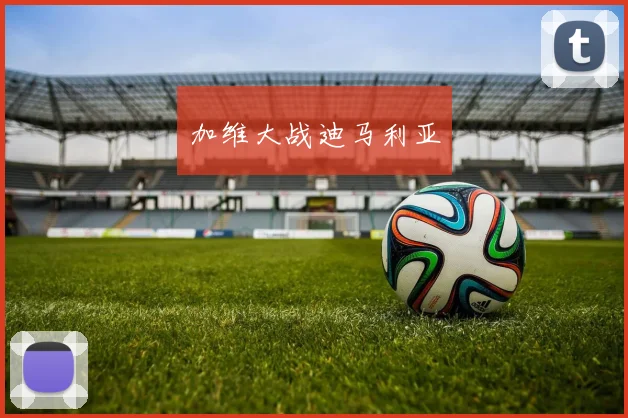 加维大战迪马利亚