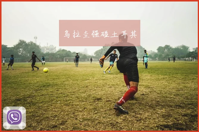乌拉圭强碰土耳其
