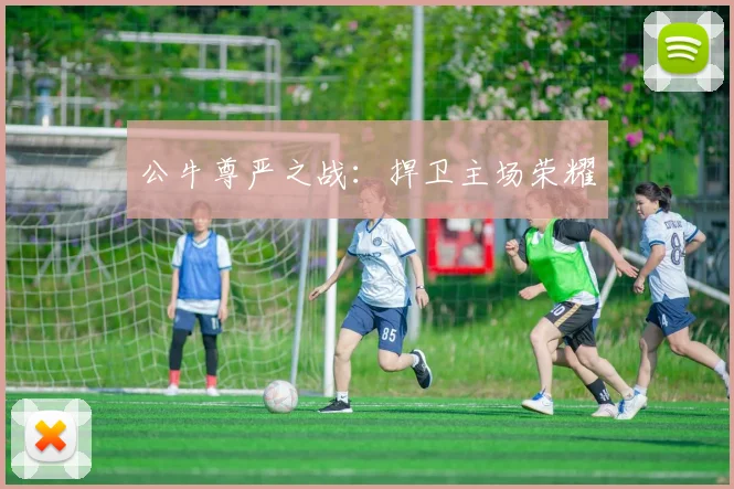 公牛尊严之战：捍卫主场荣耀