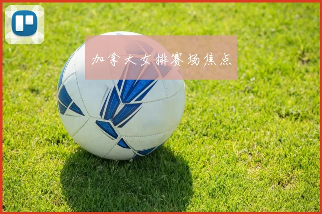 加拿大女排赛场焦点
