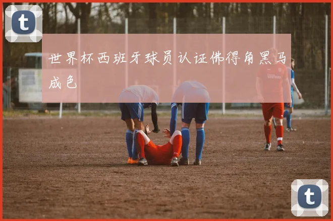 世界杯西班牙球员认证佛得角黑马成色
