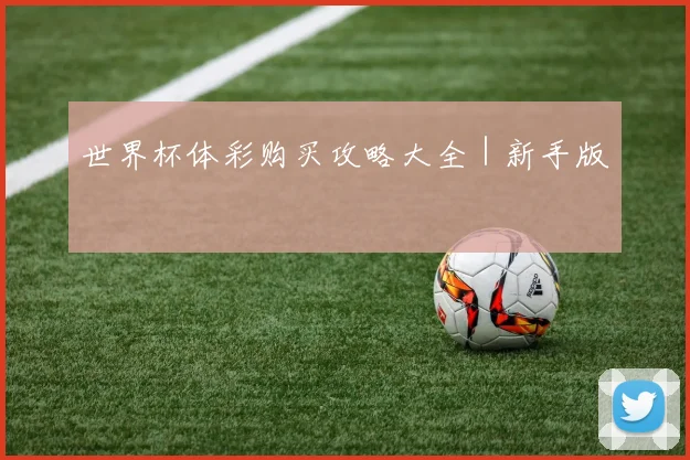世界杯体彩购买攻略大全｜新手版
