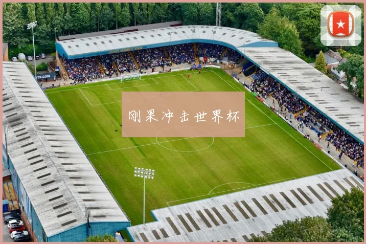 刚果冲击世界杯